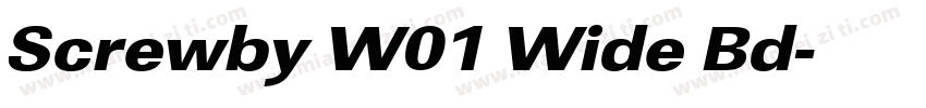 Screwby W01 Wide Bd字体转换
